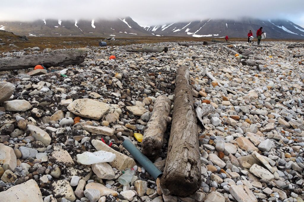 Read more about the article Svalbard 2021. <br> Część 4: Prace terenowe