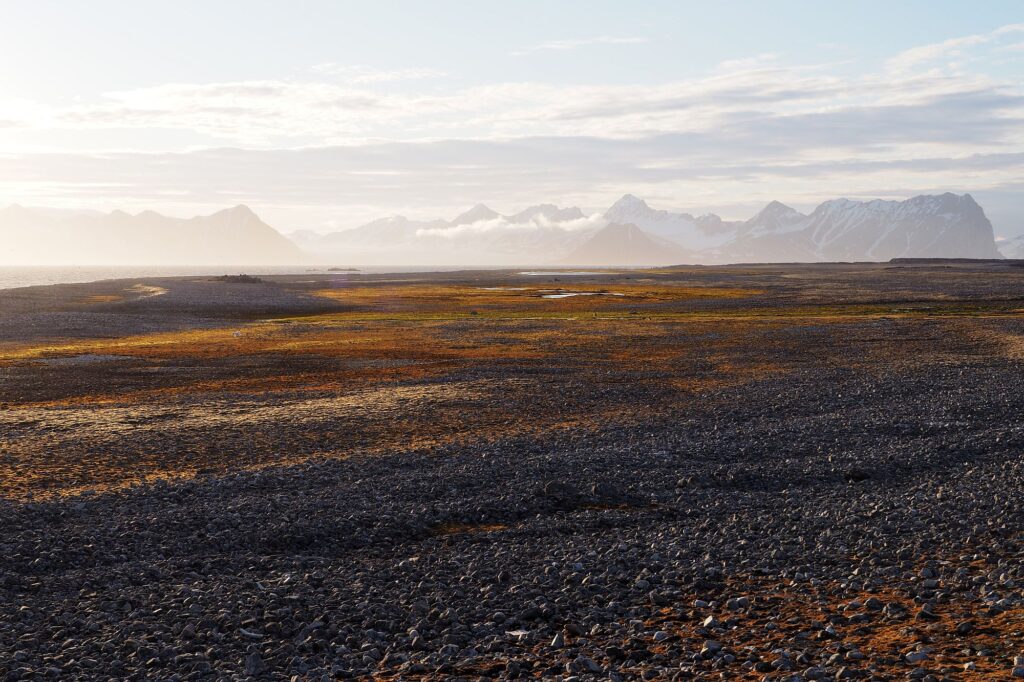 Read more about the article The forScience team goes back to Svalbard